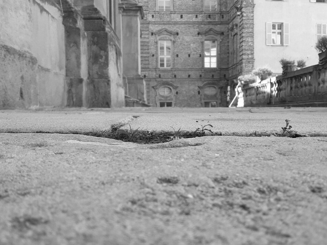 Anita, la gazza ladra triste