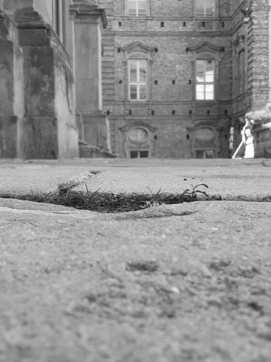 Anita, la gazza ladra triste