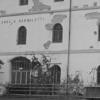 Canottiera e pennello